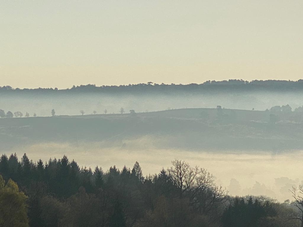 Pippingford morning mist